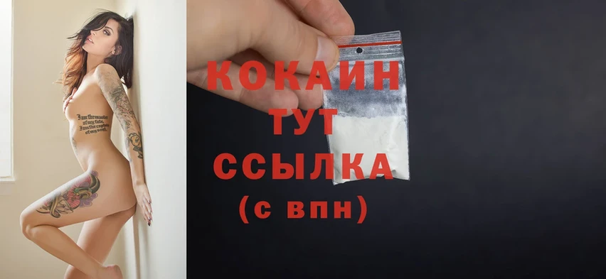 цена наркотик  Великие Луки  COCAIN Fish Scale 